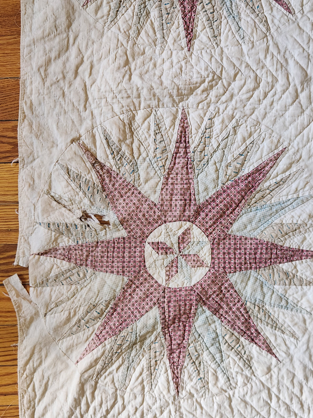 Antique 19th Century Compass Quilt