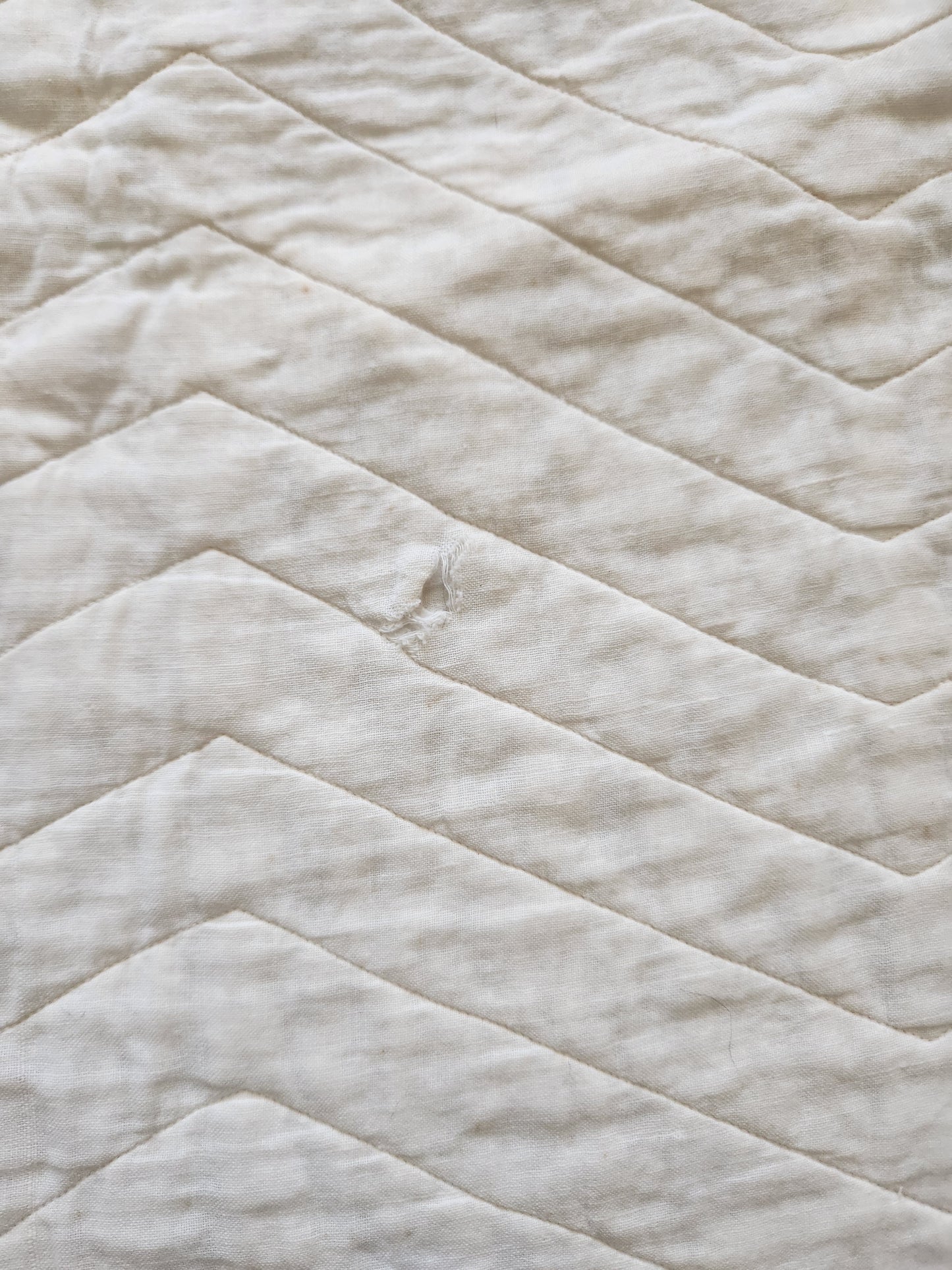 Antique Trailing Rose Crib Quilt