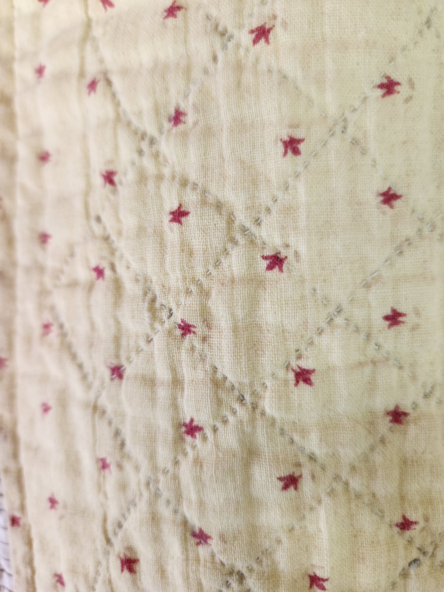 Antique Garden of Eden Patchwork Quilt c1900