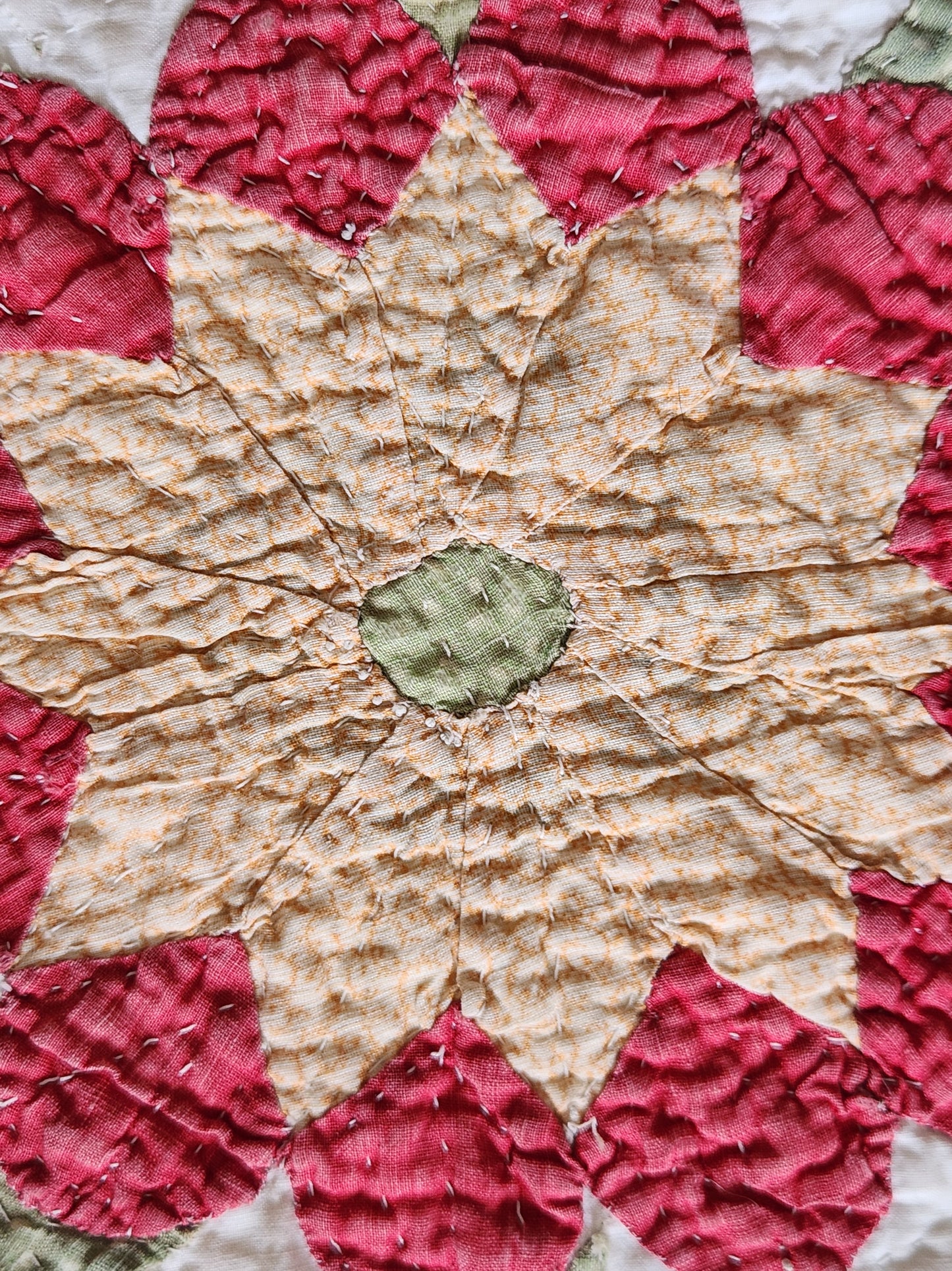 Antique Applique Whig Rose Quilt