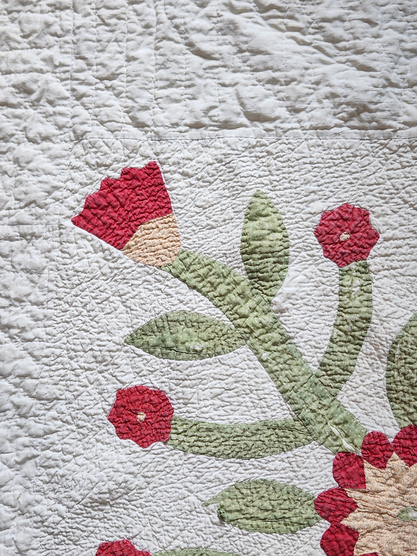 Antique Applique Whig Rose Quilt