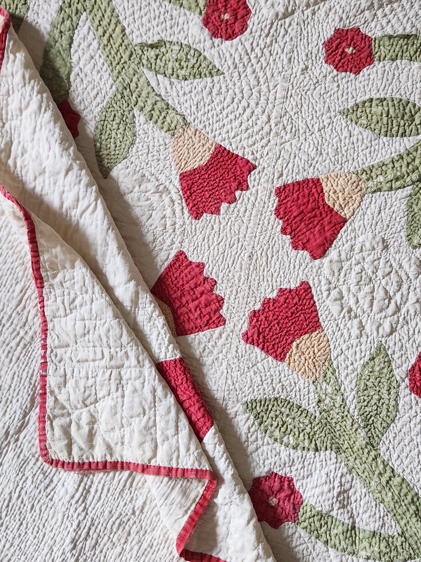 Antique Applique Whig Rose Quilt