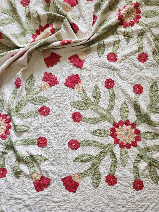 Antique Applique Whig Rose Quilt