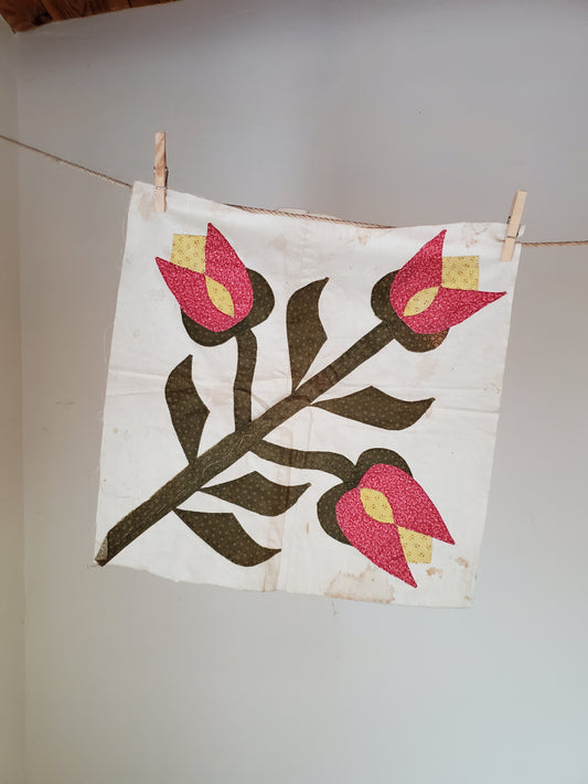 19th Century Tulip Applique Block