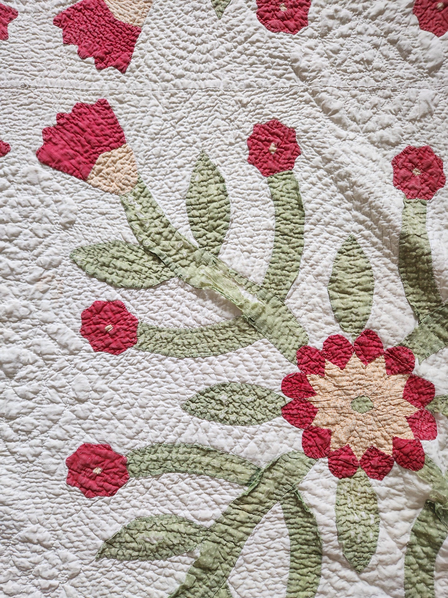 Antique Applique Whig Rose Quilt