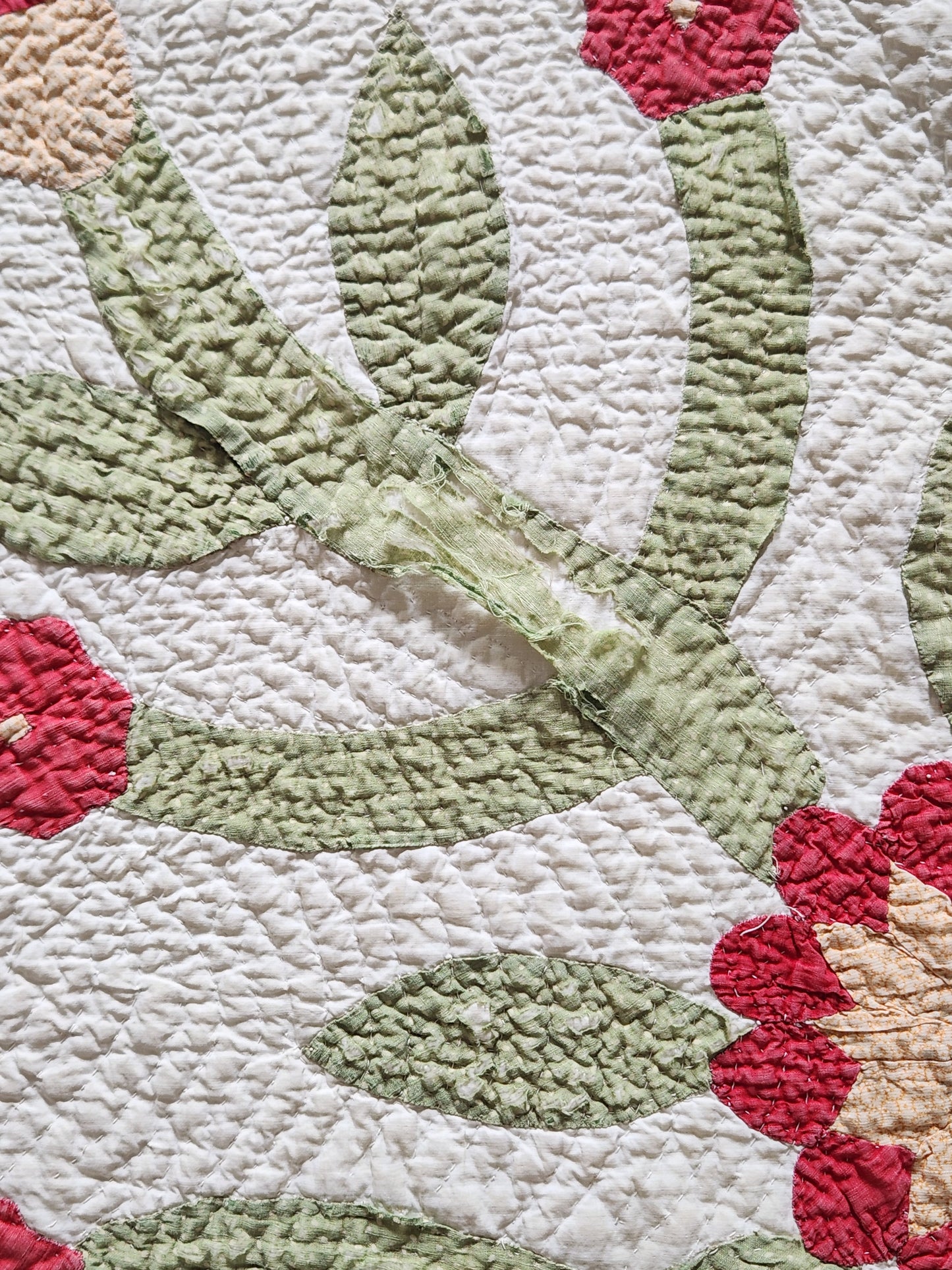 Antique Applique Whig Rose Quilt