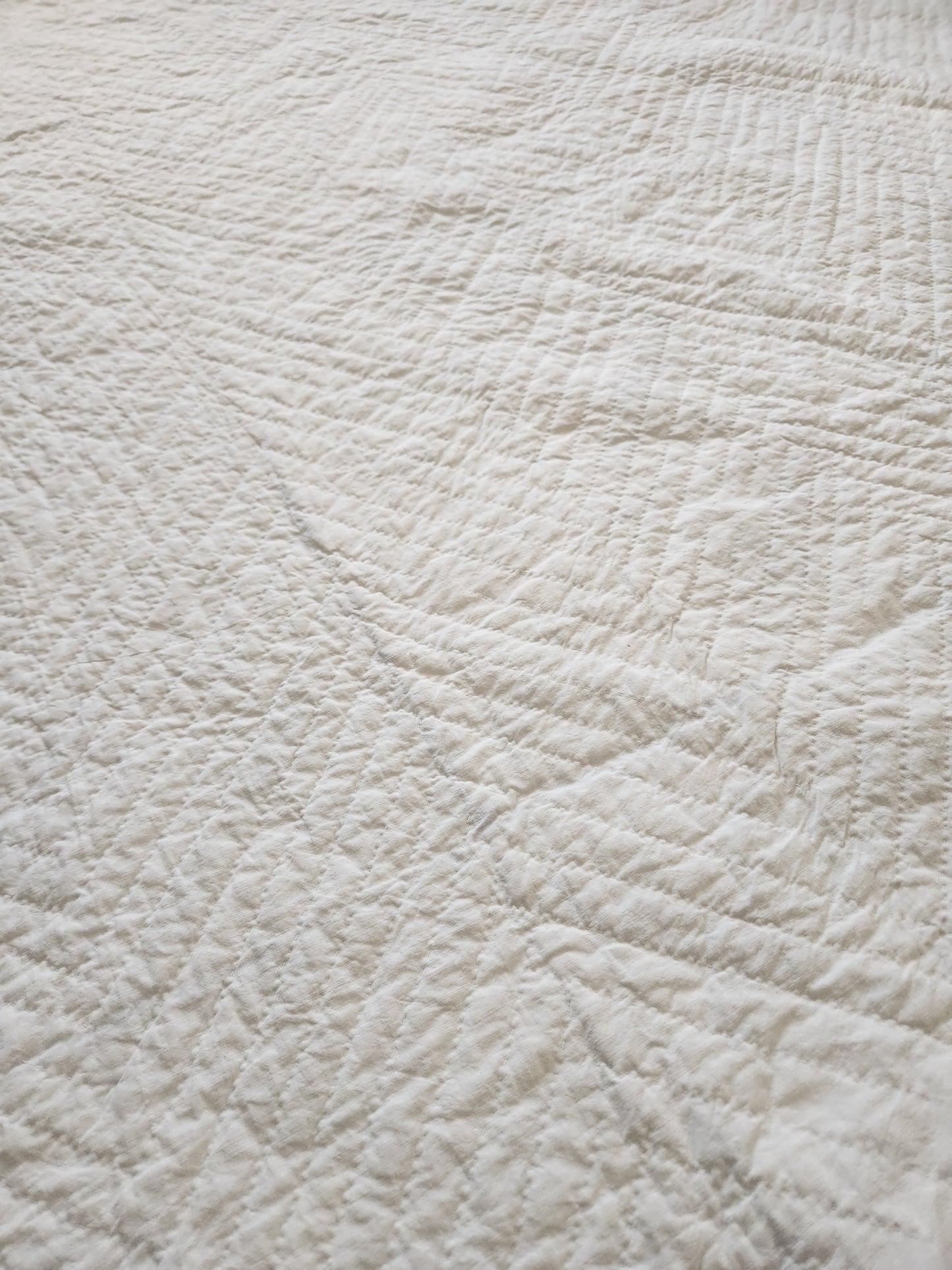 19th Century Blue and White Antique Quilt