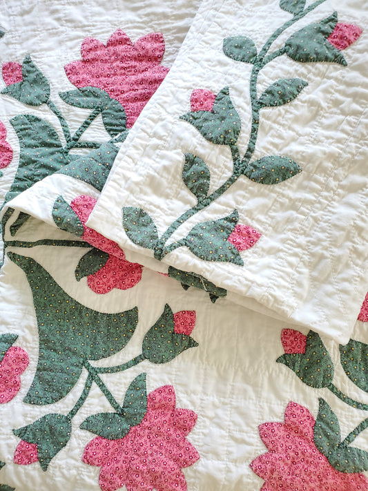 Stunning Antique Applique Quilt
