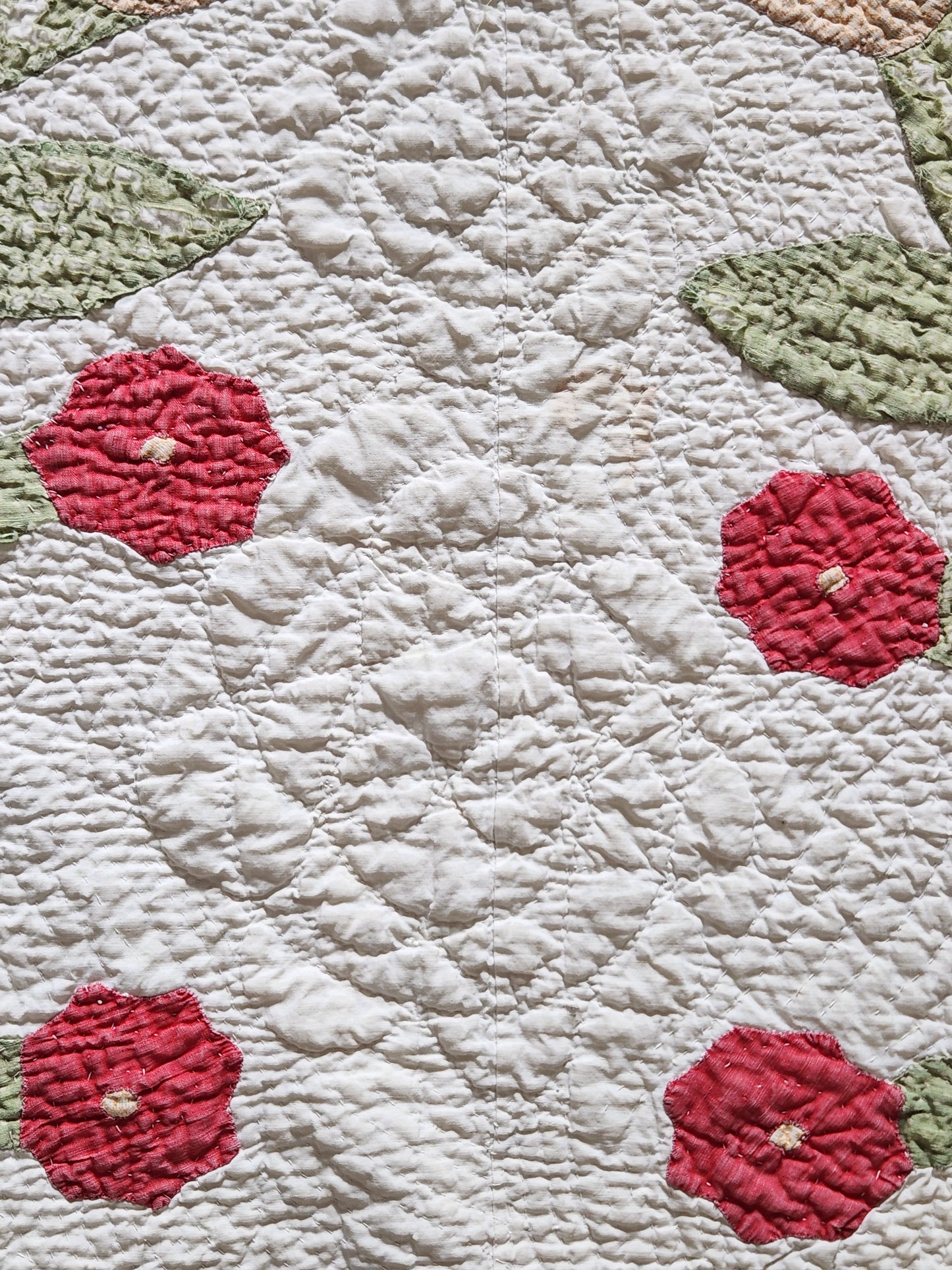 Antique Applique Whig Rose Quilt