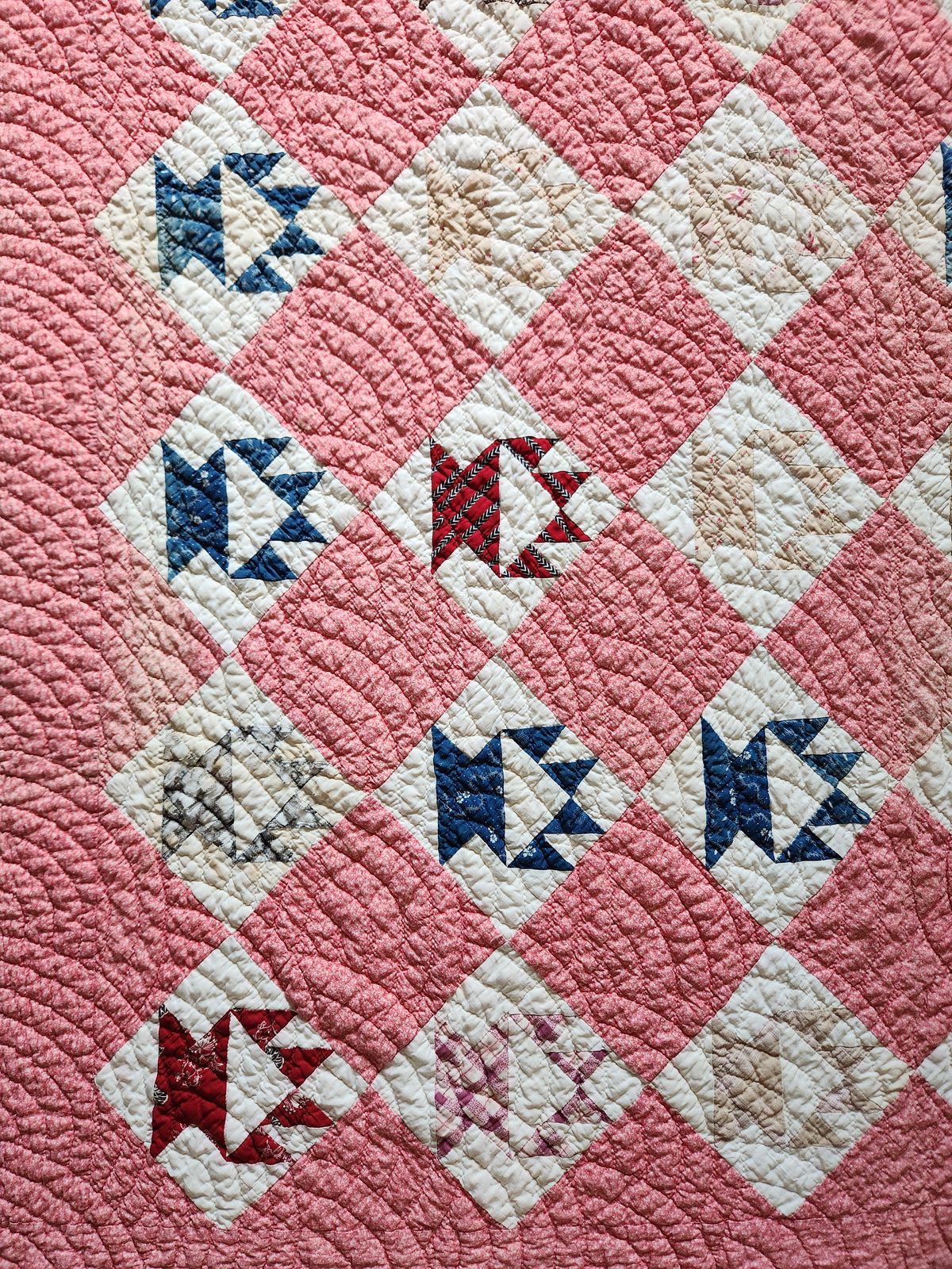 Antique Cactus Basket Quilt