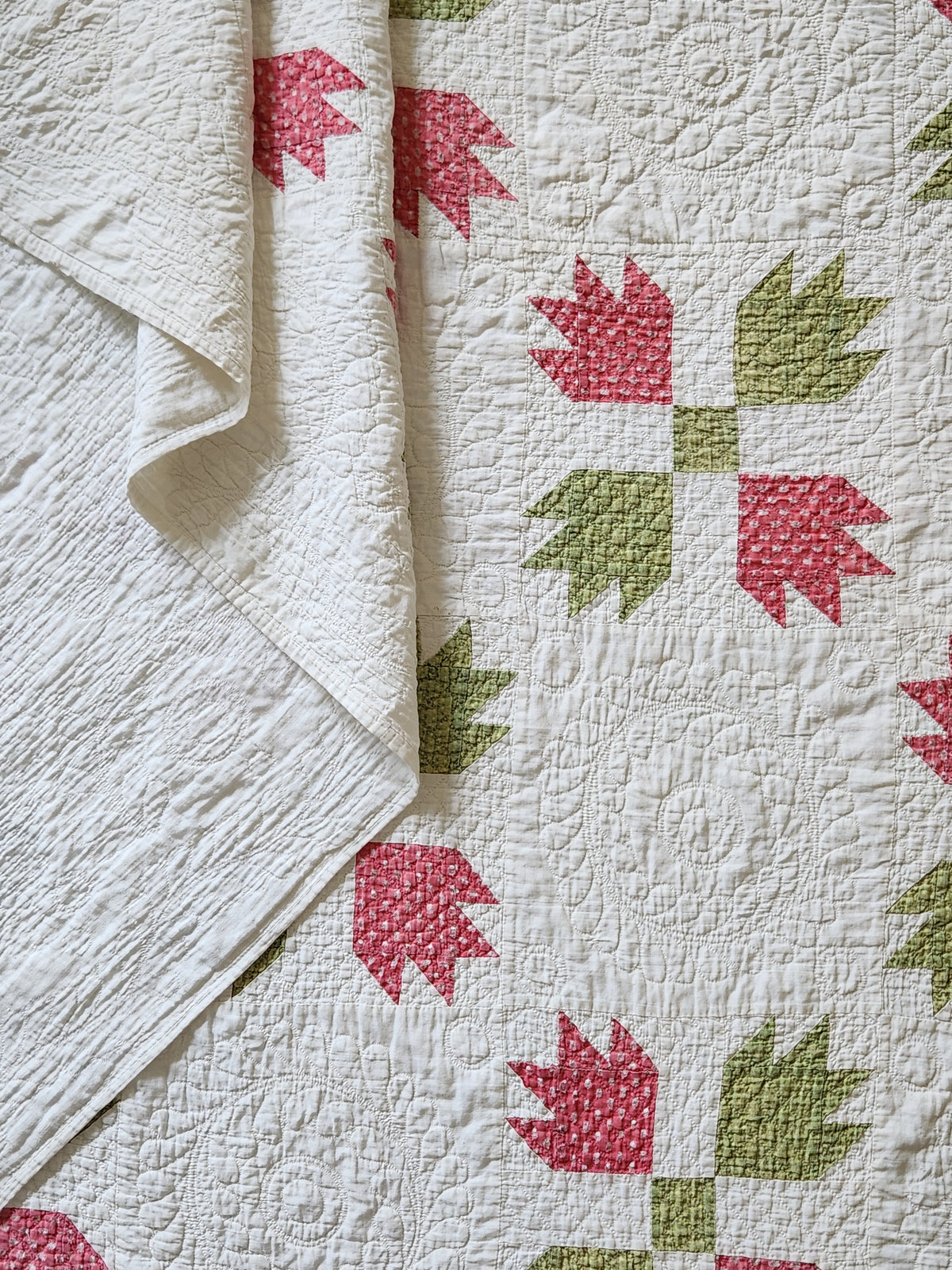 Antique Bear Paw Quilt