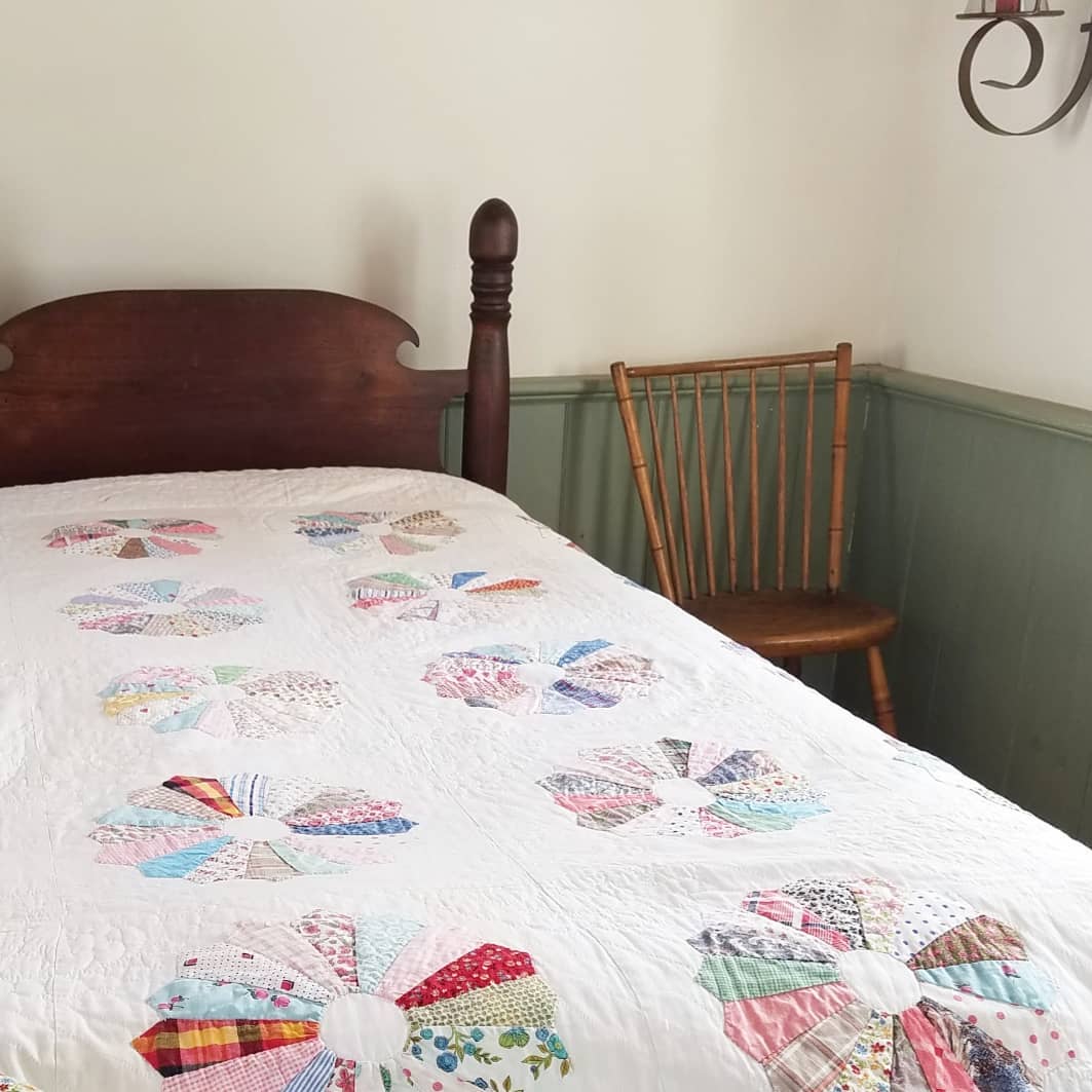 Dresden Plate Quilt 2