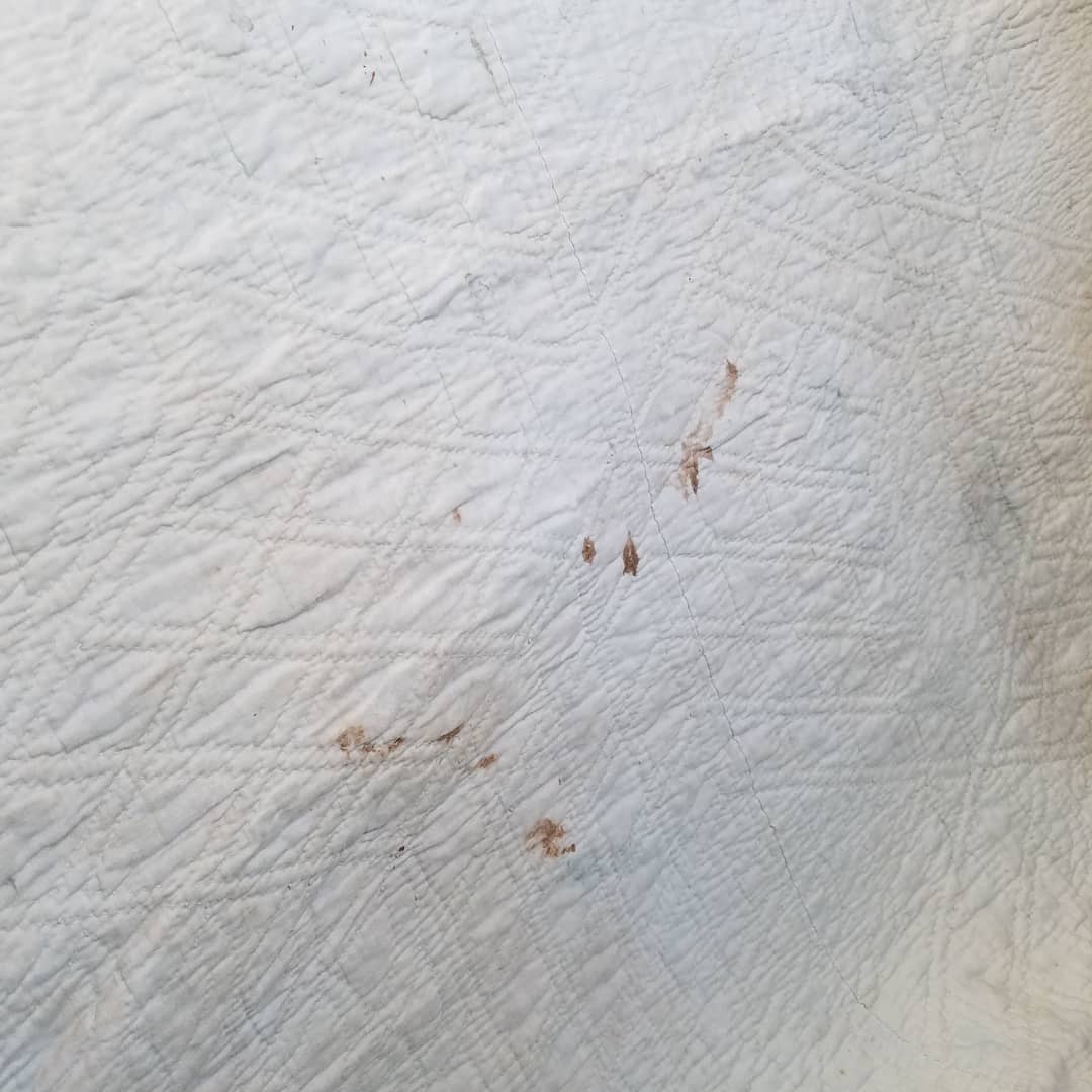 Star Quilt 4
