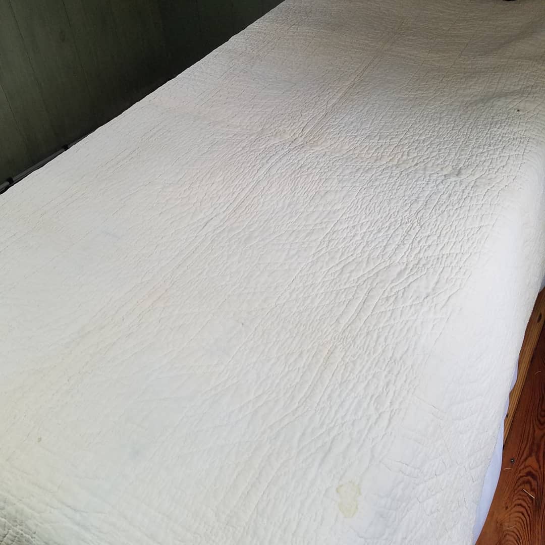 Cream and Green Lazy Daisy Quilt