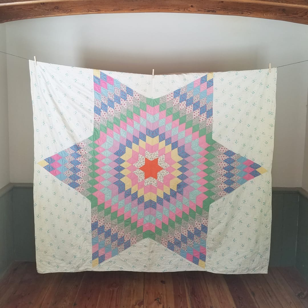 Floral Lone Star Quilt
