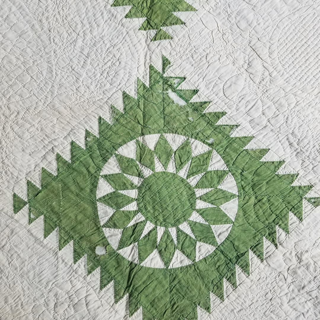 19th Century Green and Cream Sunflower Quilted Coverlet