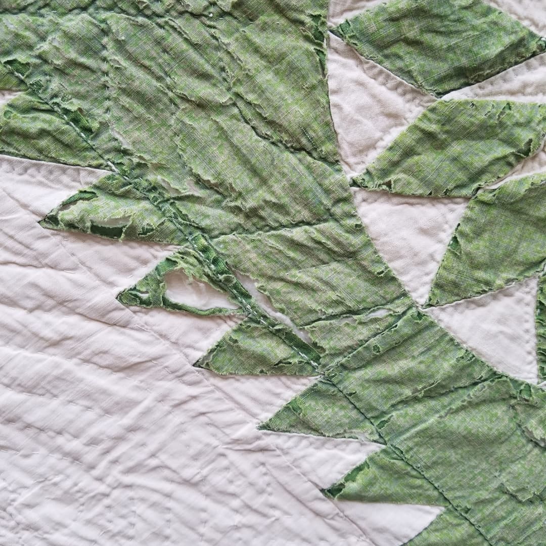 19th Century Green and Cream Sunflower Quilted Coverlet