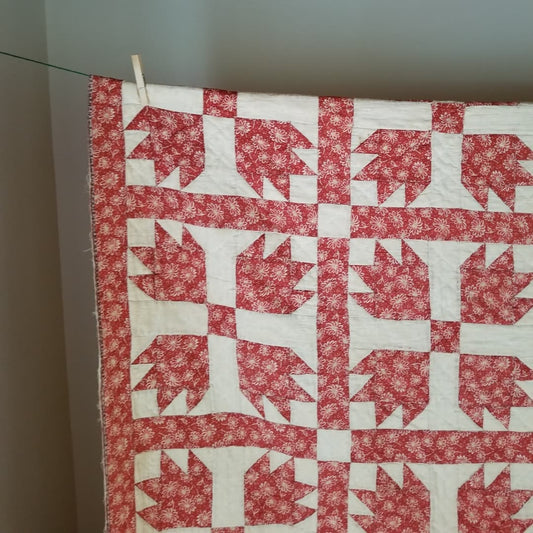 Bear Paw Quilt