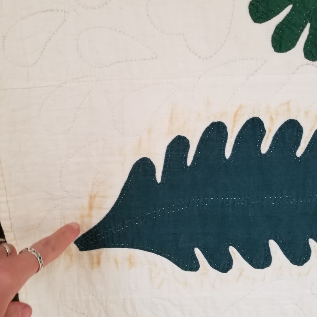 Antique Princess Feather Quilt