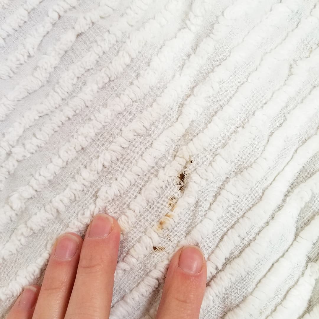 Chenille Coverlet