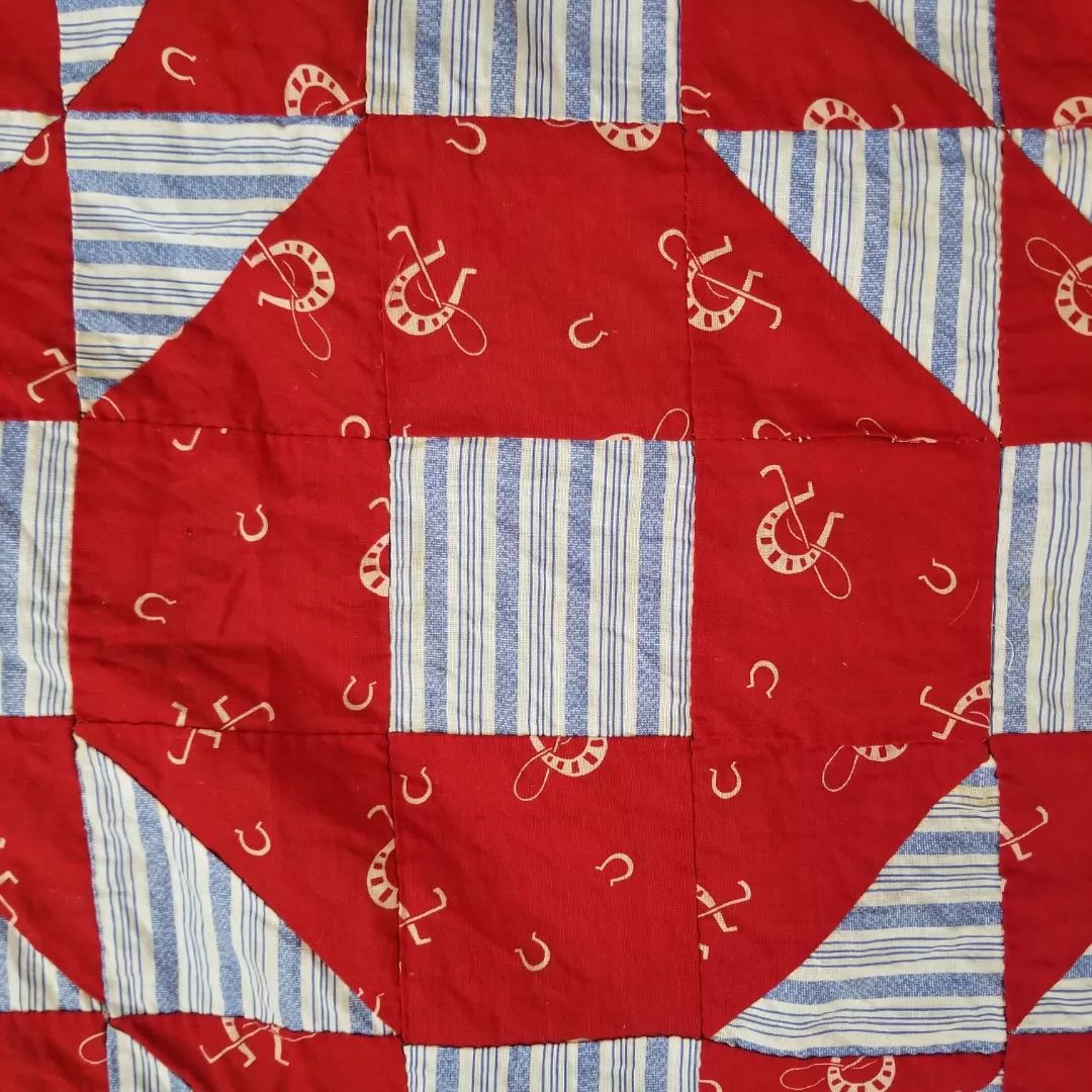 Crown of Thorns Quilt TOP