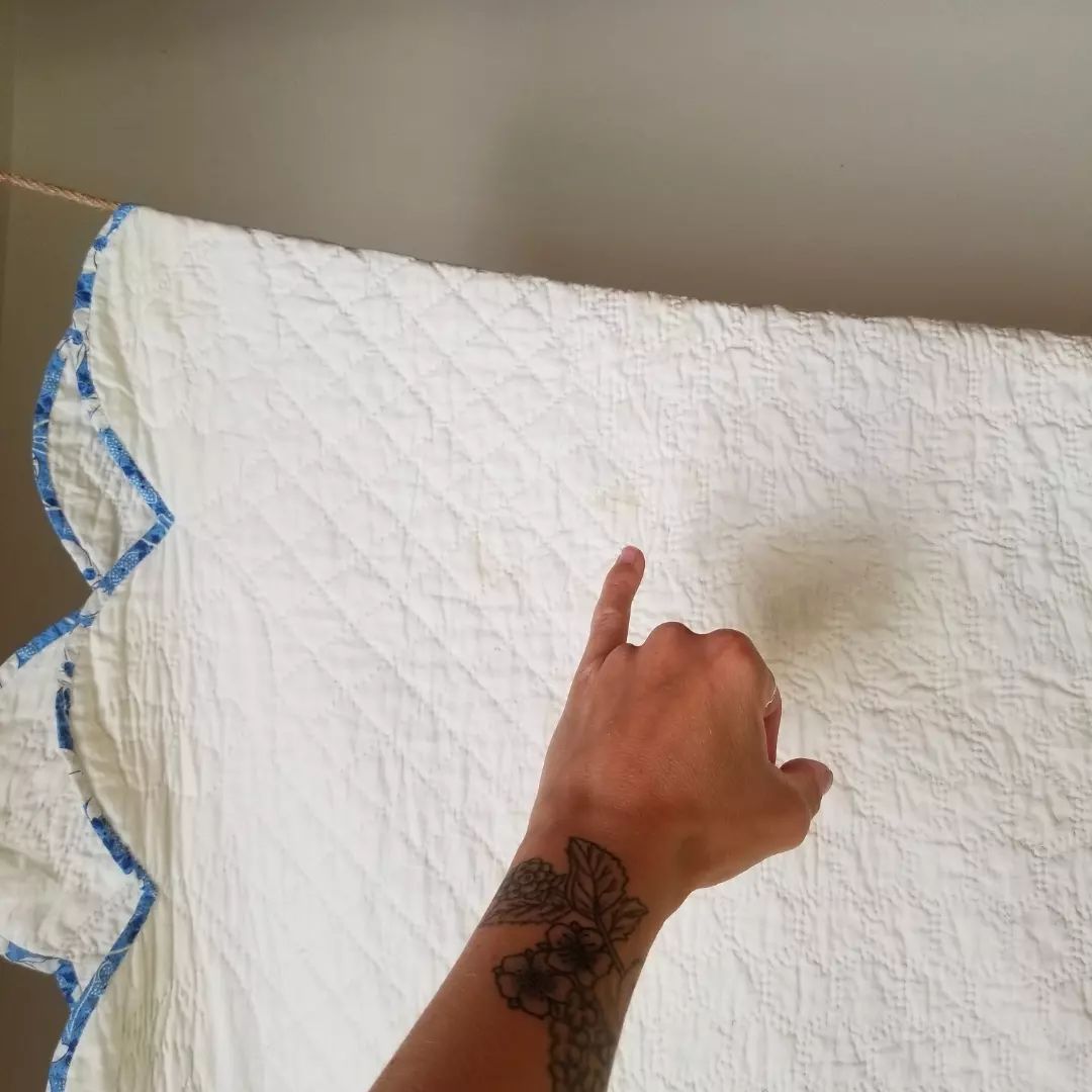 Garden Path Quilt 3