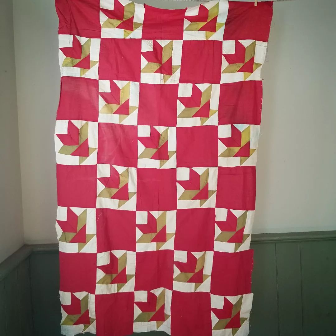 Cactus Basket Quilt Top