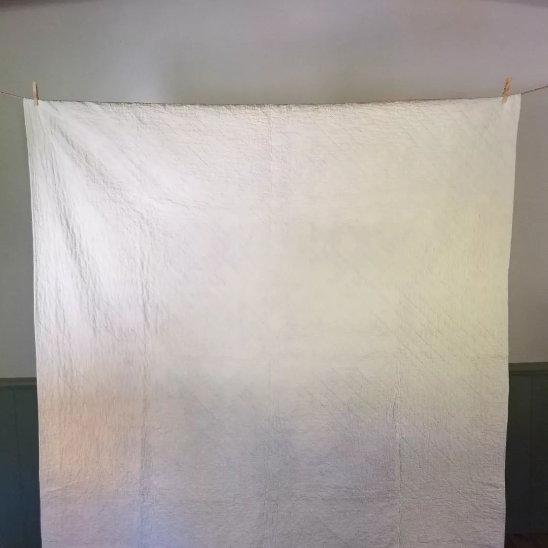 Perfect Crown of Thorns Quilt