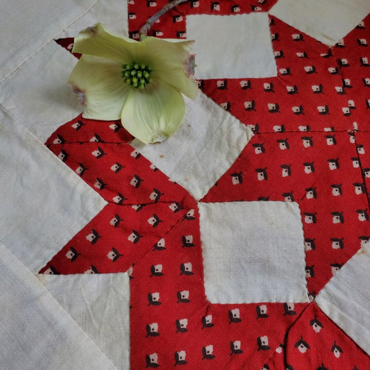Broken Star Quilt Top