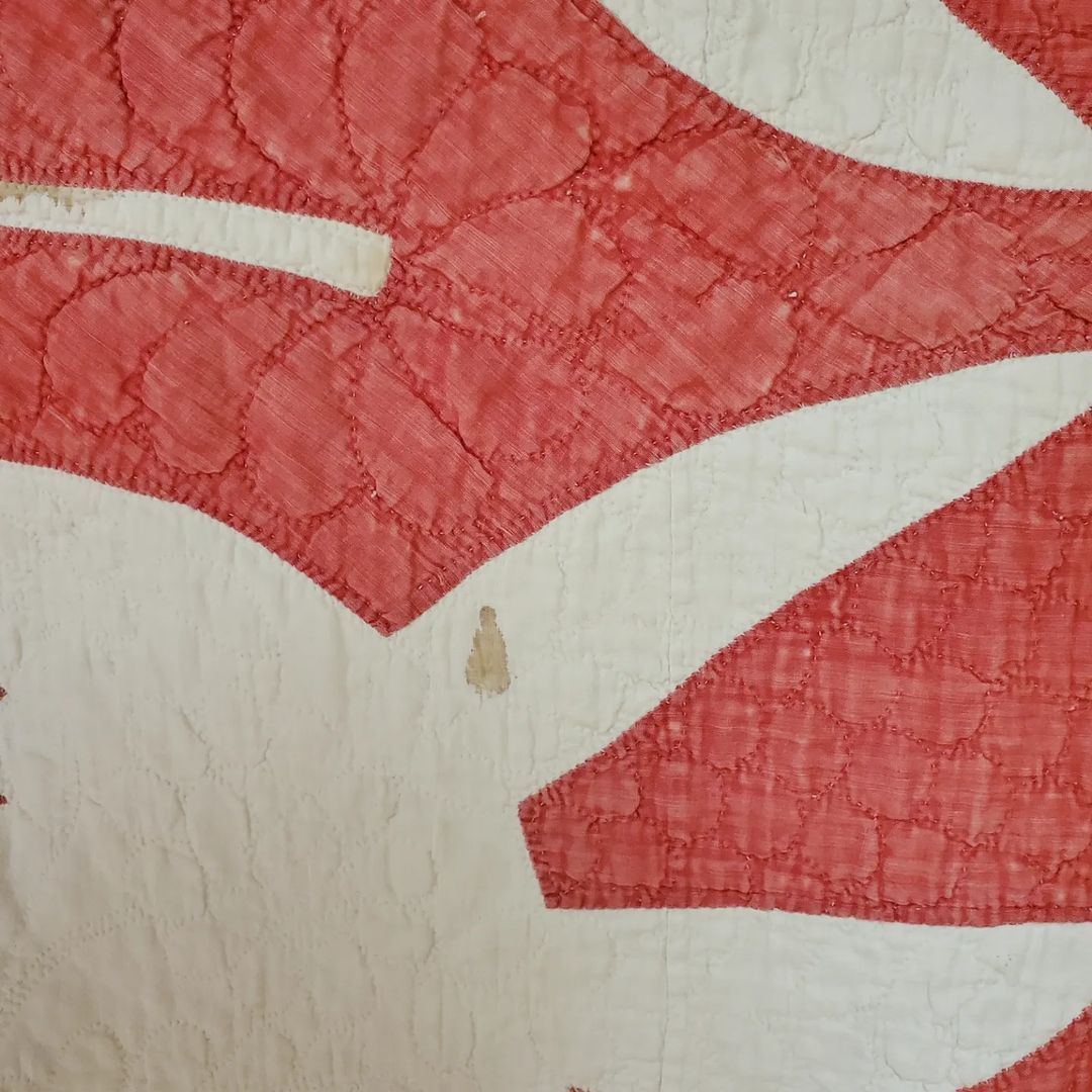 Princess Feather Quilt