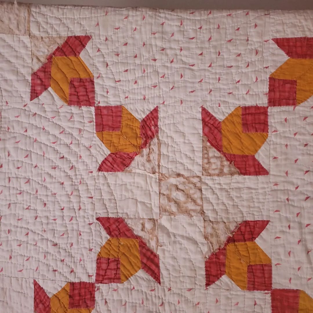 Beloved Tulip Quilt
