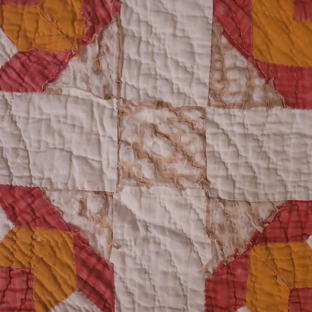 Beloved Tulip Quilt