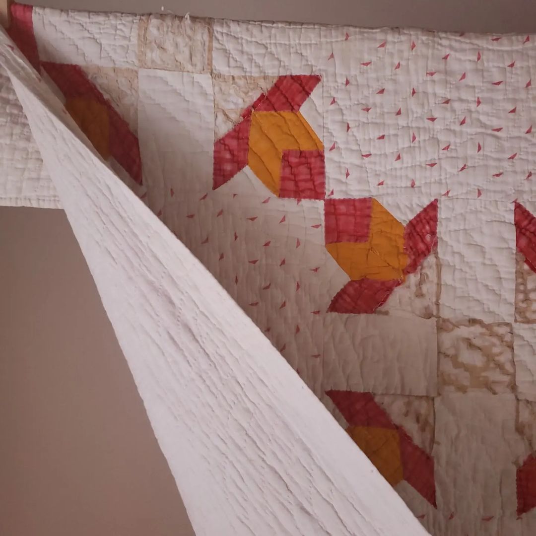 Beloved Tulip Quilt